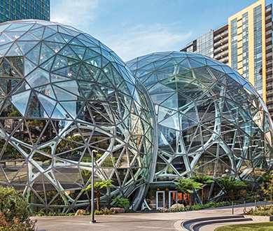 Proyecto Amazon Spheres | Vidrio Ultra Claro Starphire