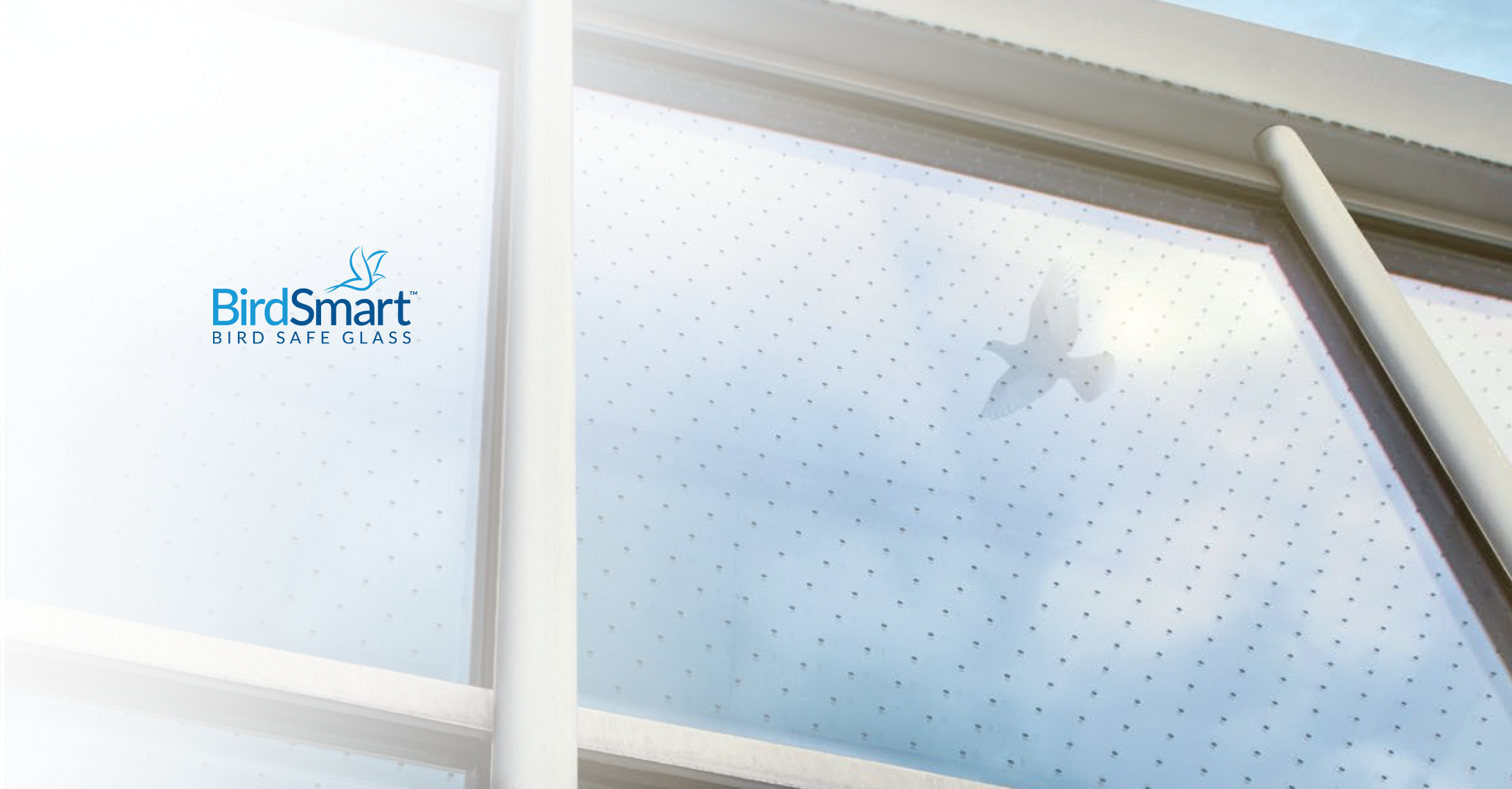Banners 0425 Birdsmart